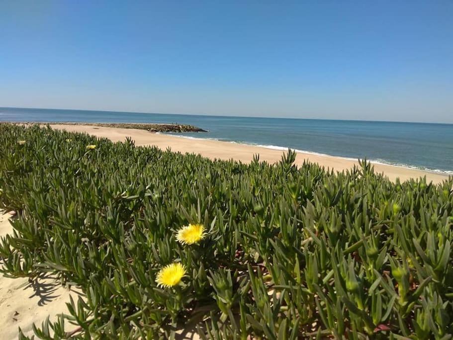 Casa De Praia Acolhedora/ Cosy Beach House Marinha das Ondas Bagian luar foto